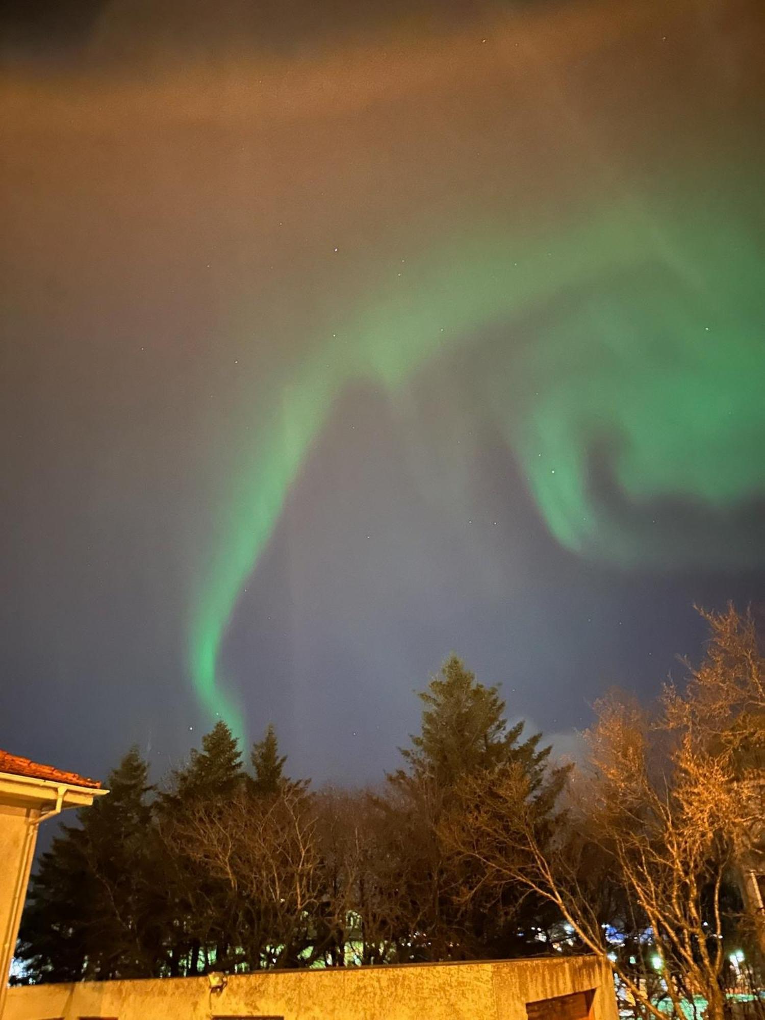 Casa Disa - Apartments A Boutique Guesthouse In Reykjavik City'S Central Park And Botanical Garden In Laugardalur, Hot-Spring-Valley المظهر الخارجي الصورة