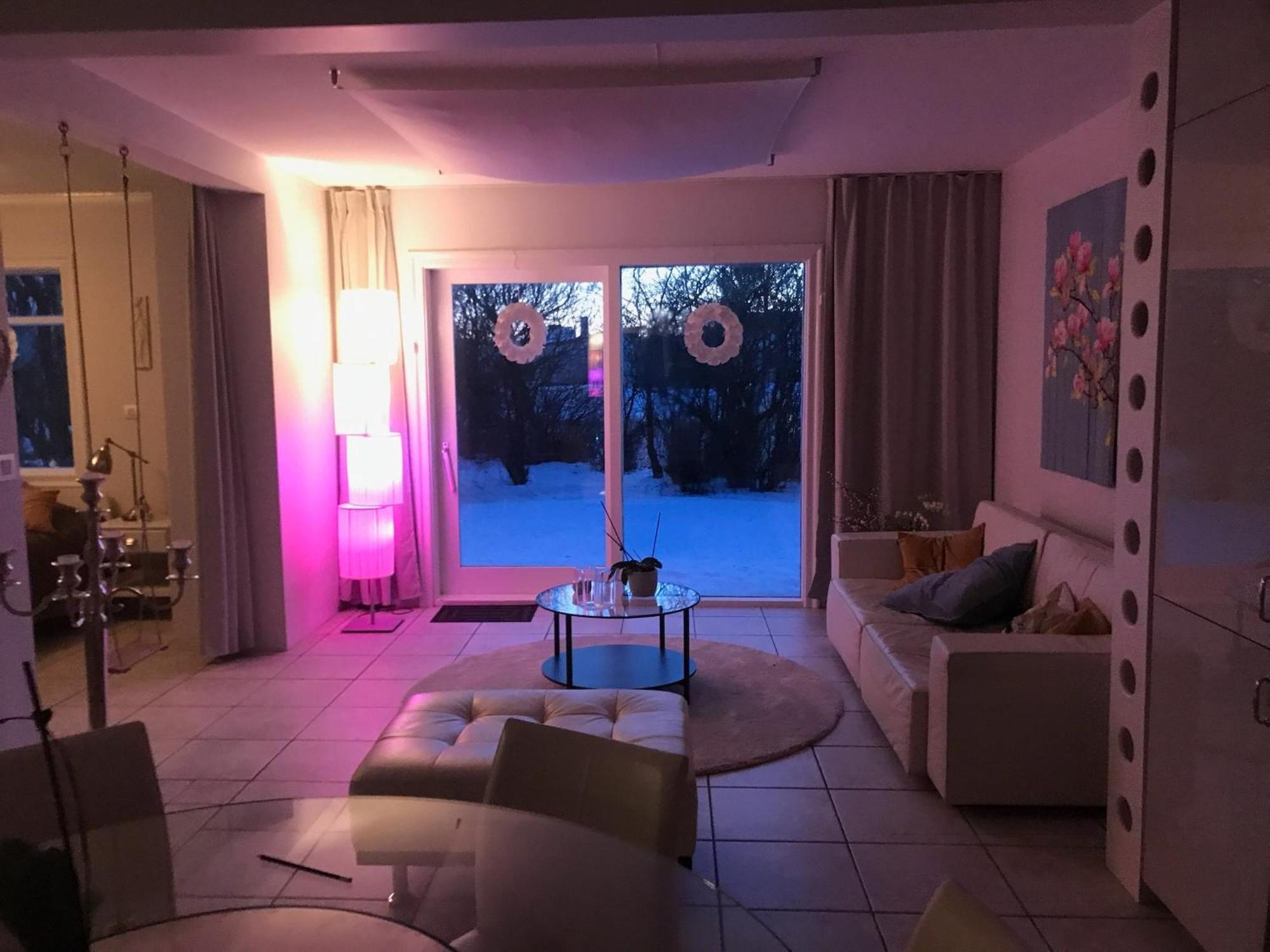Casa Disa - Apartments A Boutique Guesthouse In Reykjavik City'S Central Park And Botanical Garden In Laugardalur, Hot-Spring-Valley المظهر الخارجي الصورة