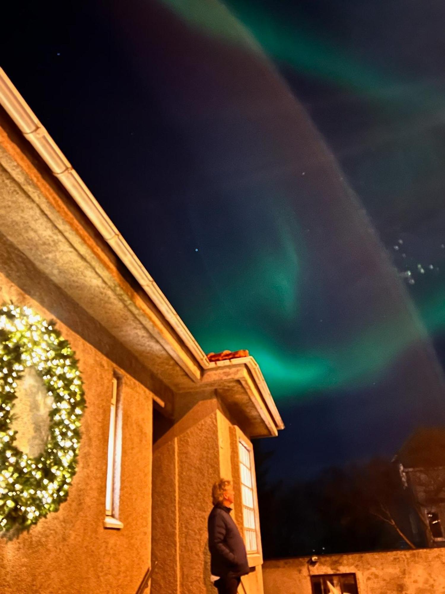 Casa Disa - Apartments A Boutique Guesthouse In Reykjavik City'S Central Park And Botanical Garden In Laugardalur, Hot-Spring-Valley المظهر الخارجي الصورة